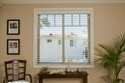 Smart Privacy Blinds